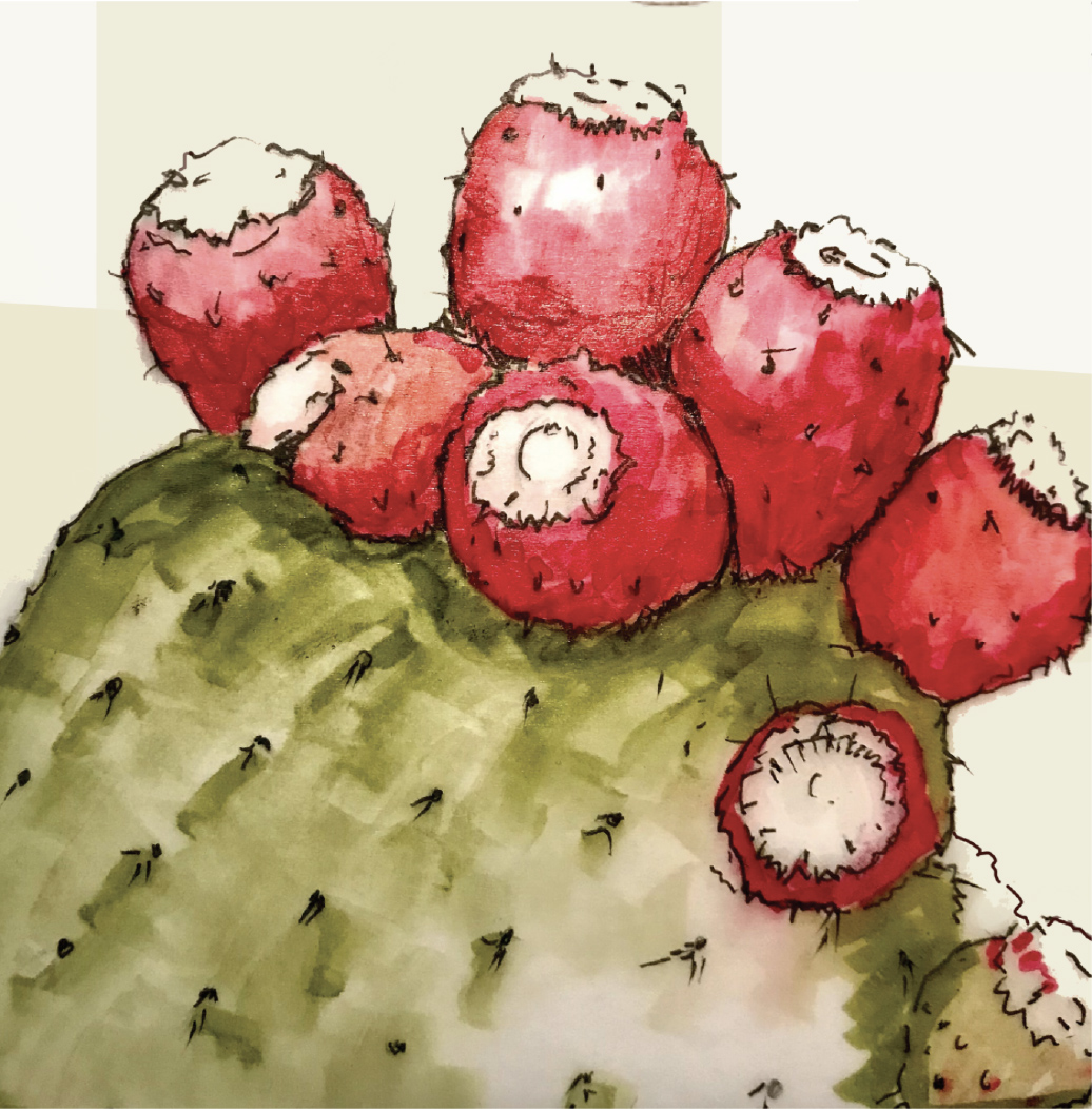 The Commons at Sawmill cover