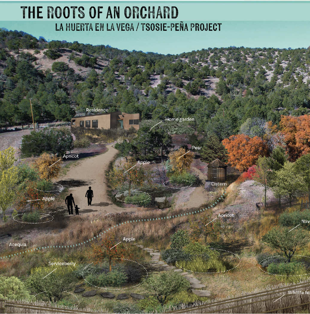 Landscape Architecture